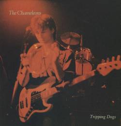 The Chameleons : Tripping Dogs